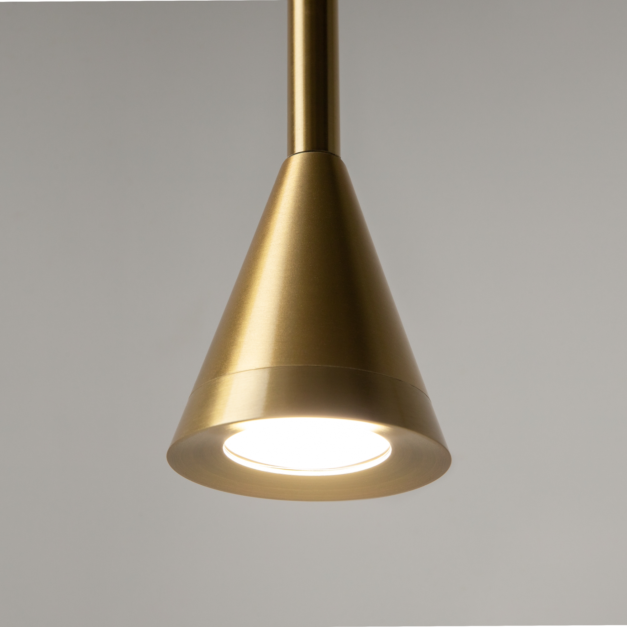 Картинка Подвесной светильник Technical P064PL-01G-1