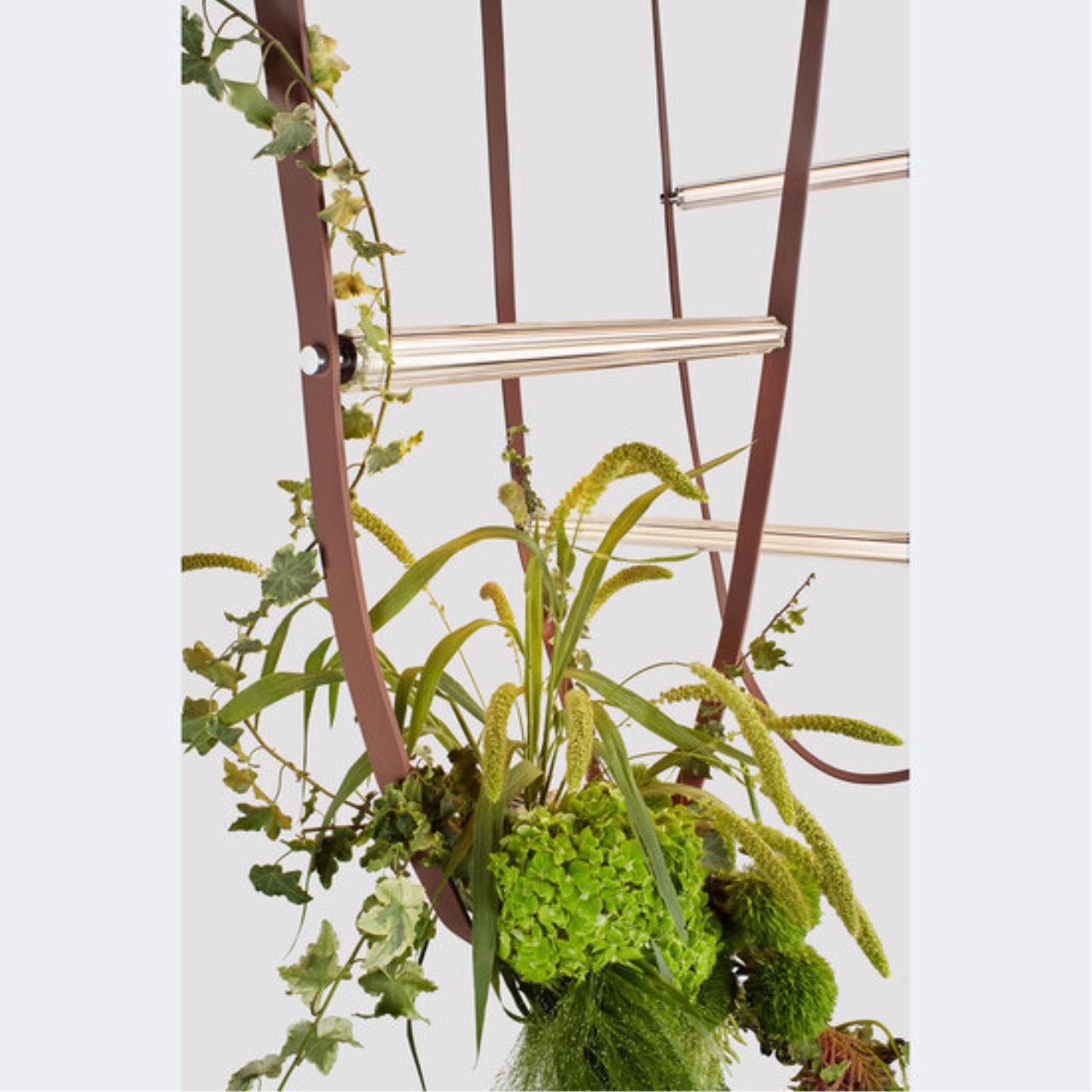 Картинка Подвесной светильник ALMATO Divinare 1128/34 SP-110