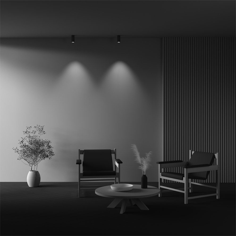 Картинка Потолочный светильник Technical C056CL-L12W3K-W-BS