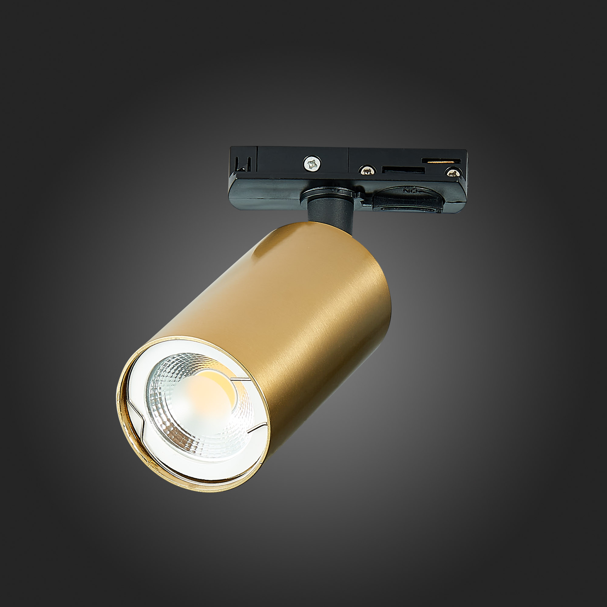 Картинка Трековый светильник ST Luce ST300.206.01