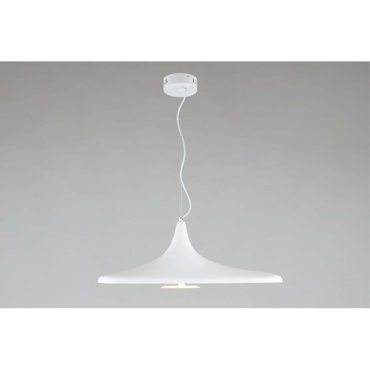 Картинка APL.649.16.08 Светильник подвесной Aployt Silvi