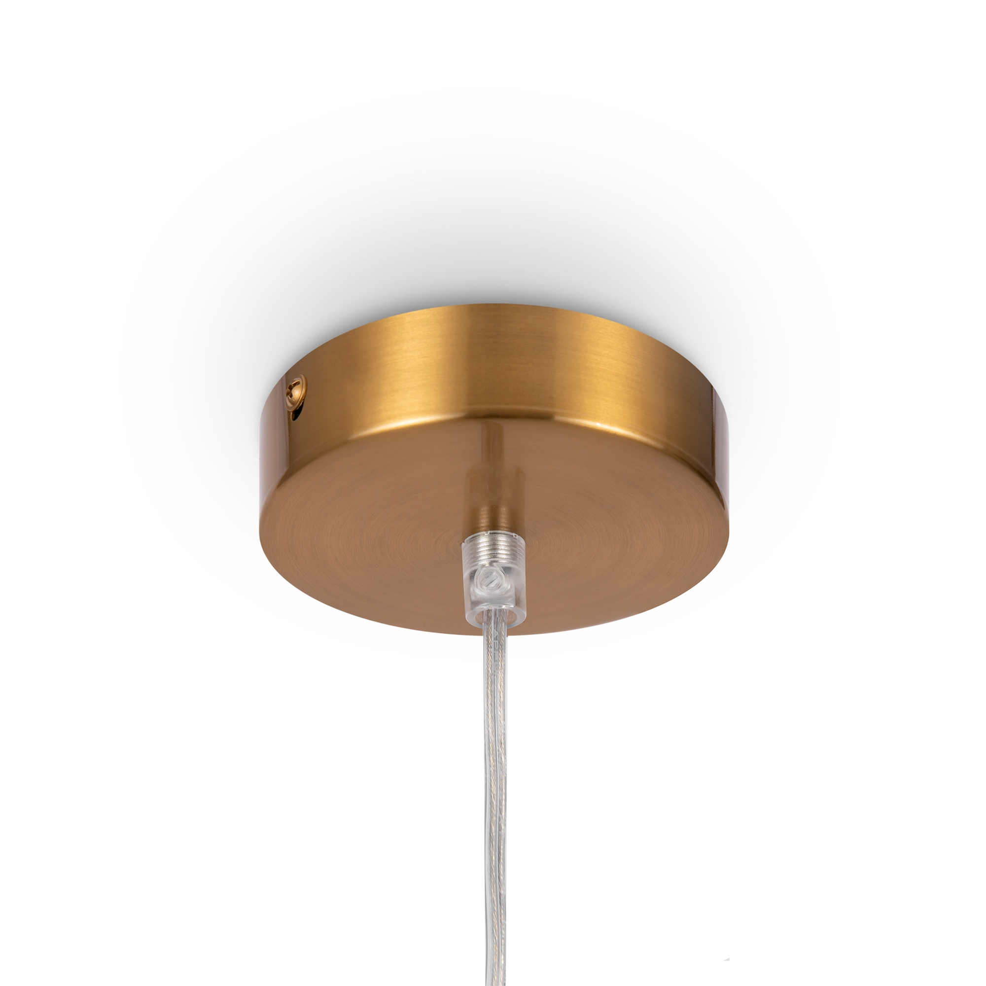 Картинка Подвесной светильник Freya FR5220PL-01G