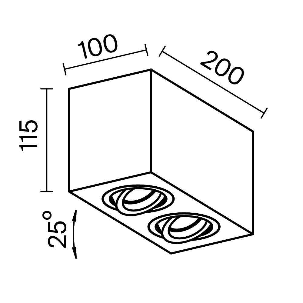 Картинка Потолочный светильник Technical C017CL-02W