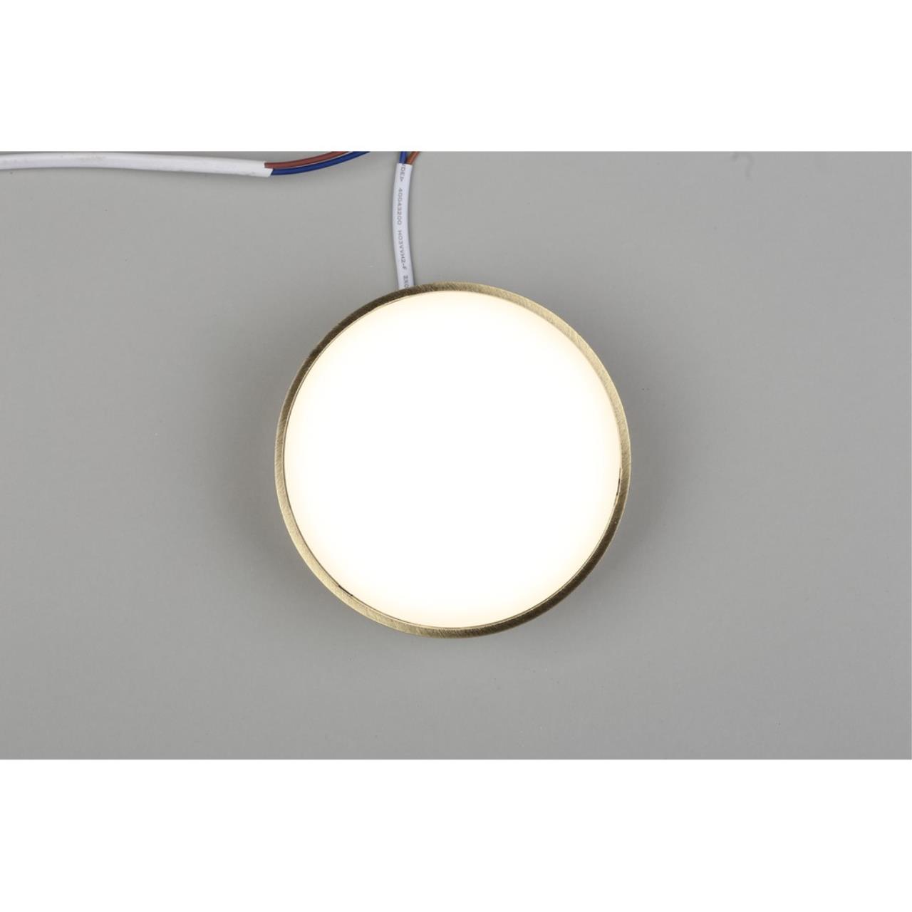 Картинка Потолочный светодиодный светильник Aployt Evon APL.0114.29.12