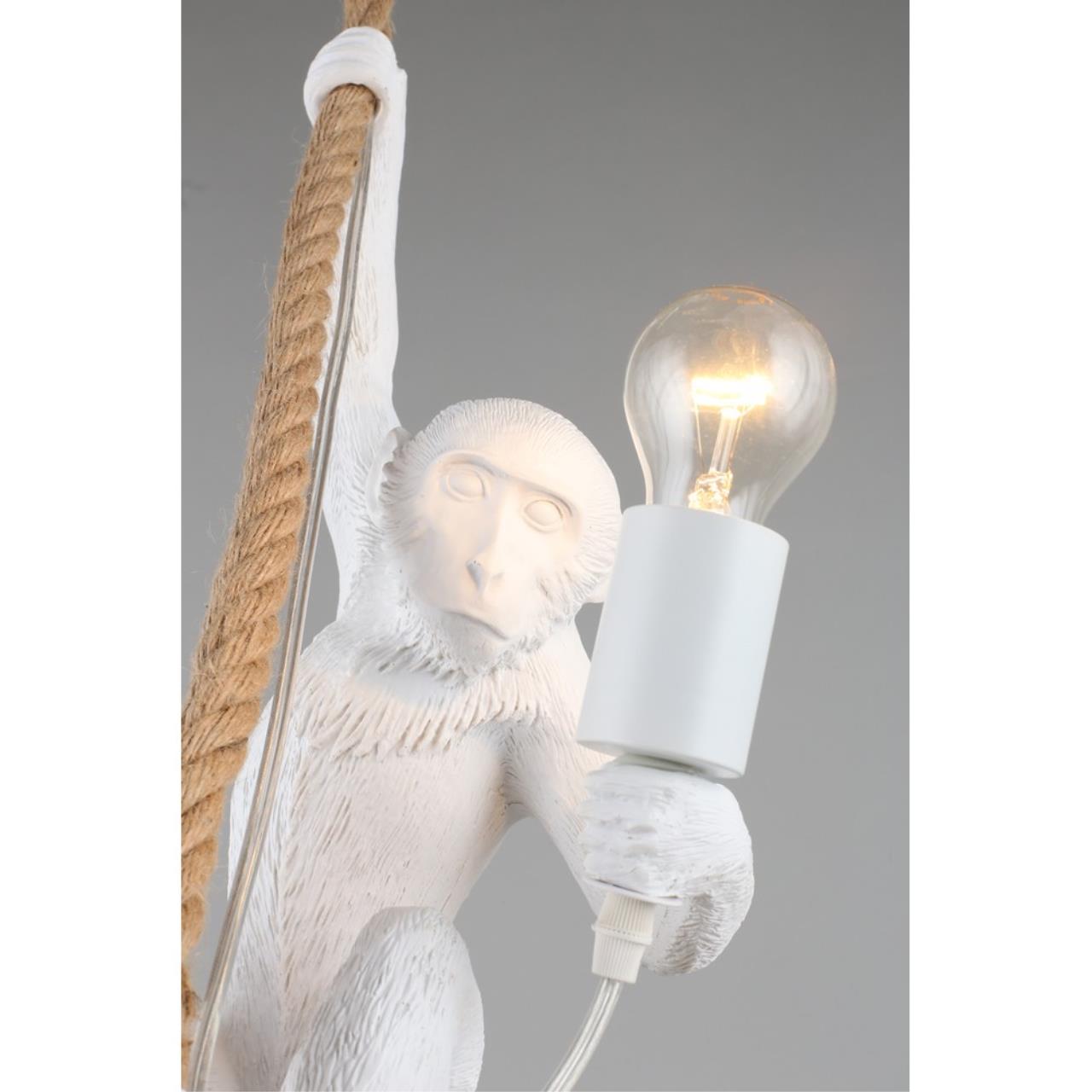 Картинка Подвесной светильник Aployt Magali APL.309.06.01