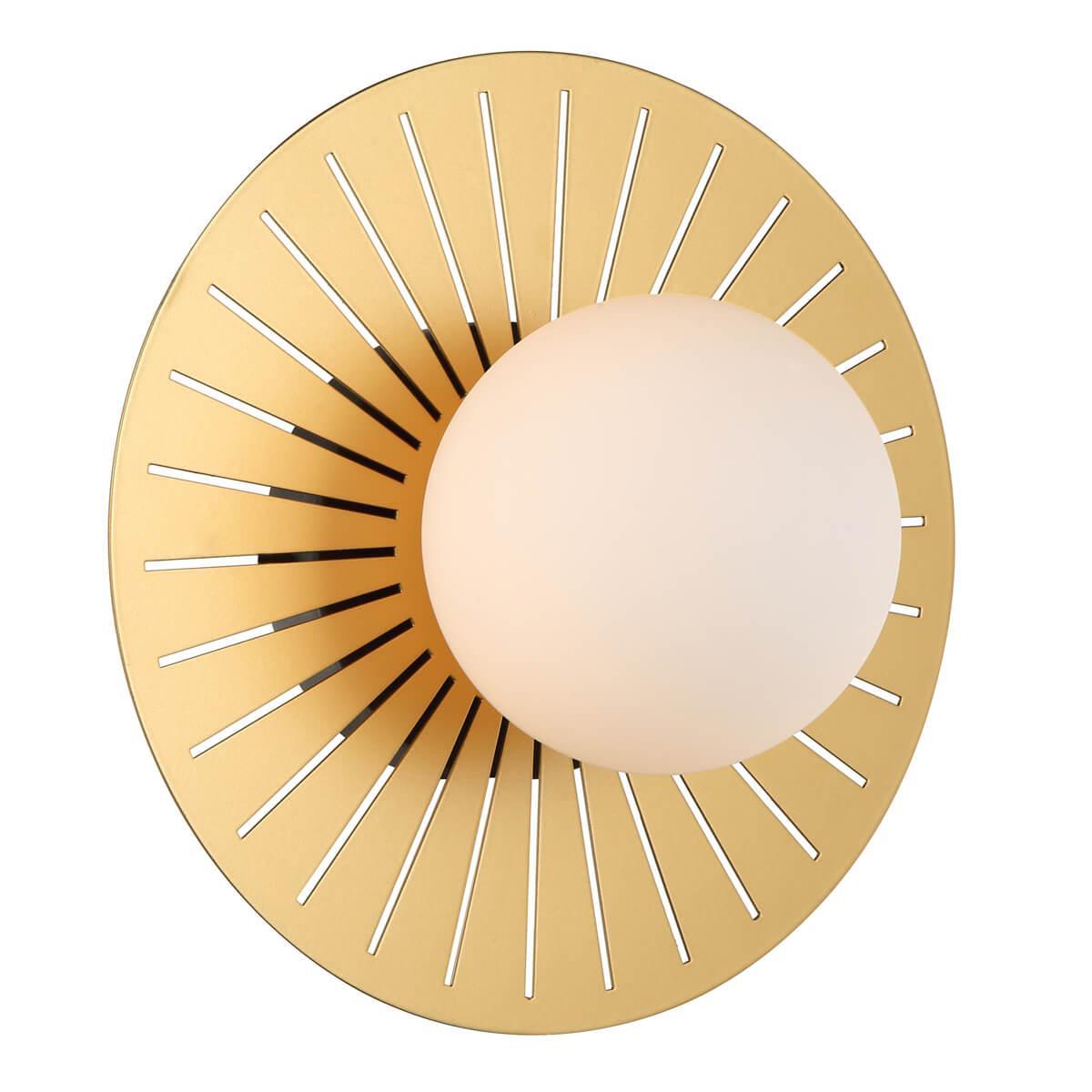 Картинка Настенный светильник Favourite Sonnenblume 2356-1W