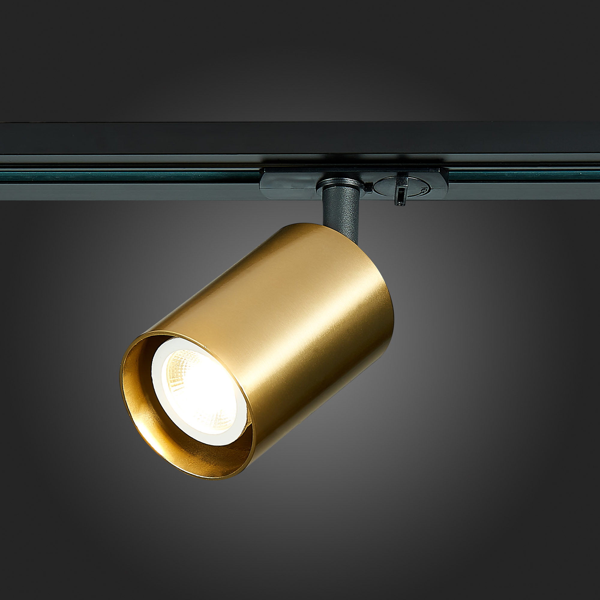 Картинка Трековый светильник ST Luce ST302.206.01