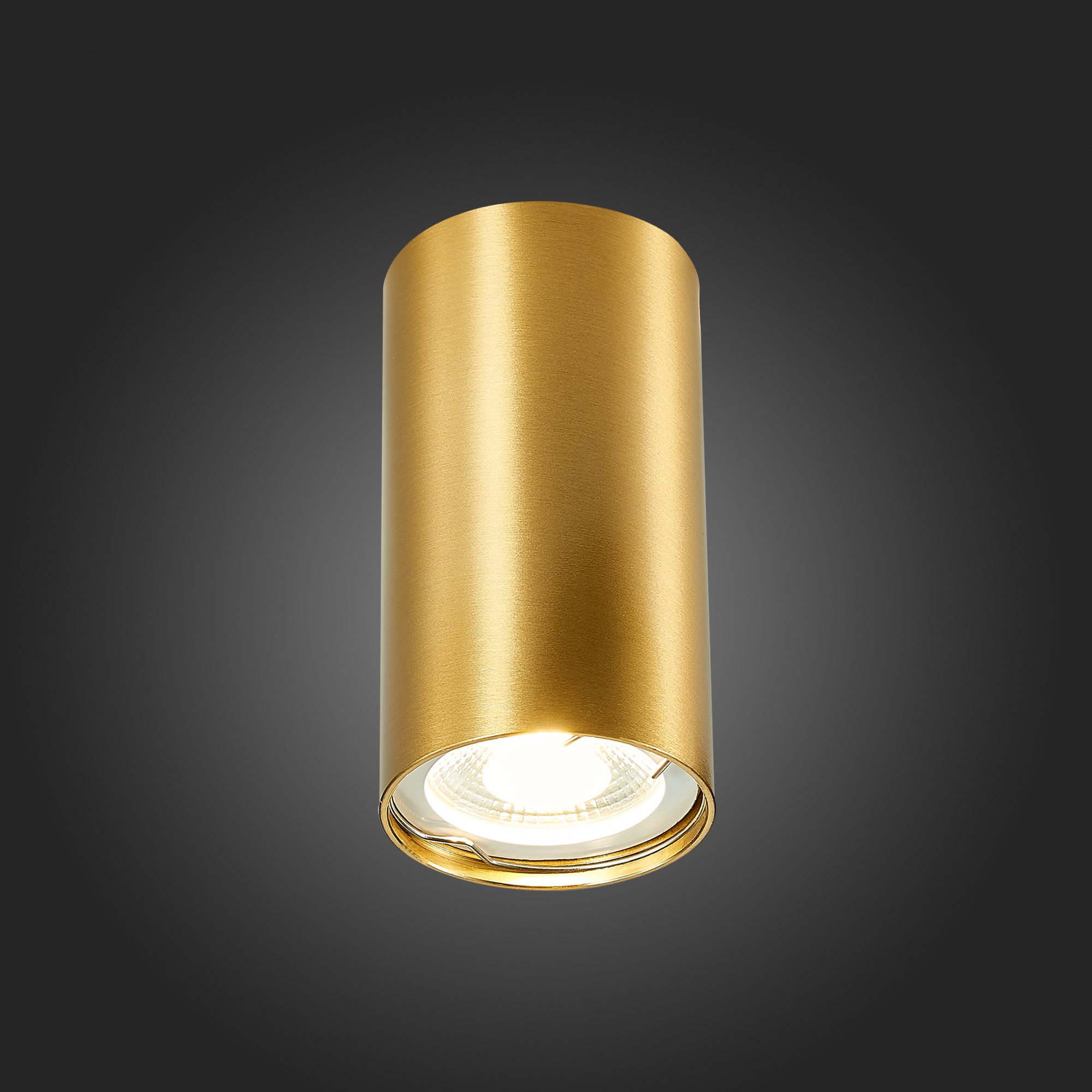 Картинка Потолочный светильник ST Luce ST110.207.01