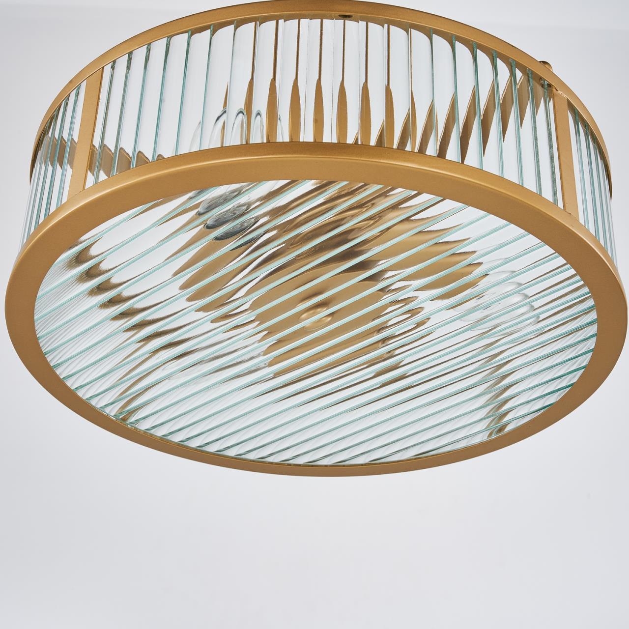 Картинка Подвесная люстра Radiales 3099-3P