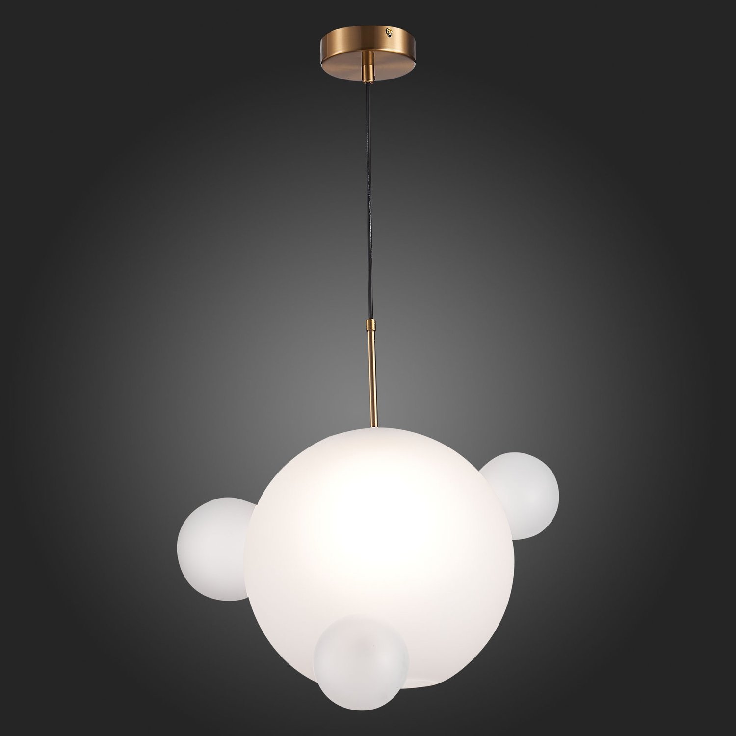 Картинка Подвесной светильник ST Luce Bopone SL1133.503.01