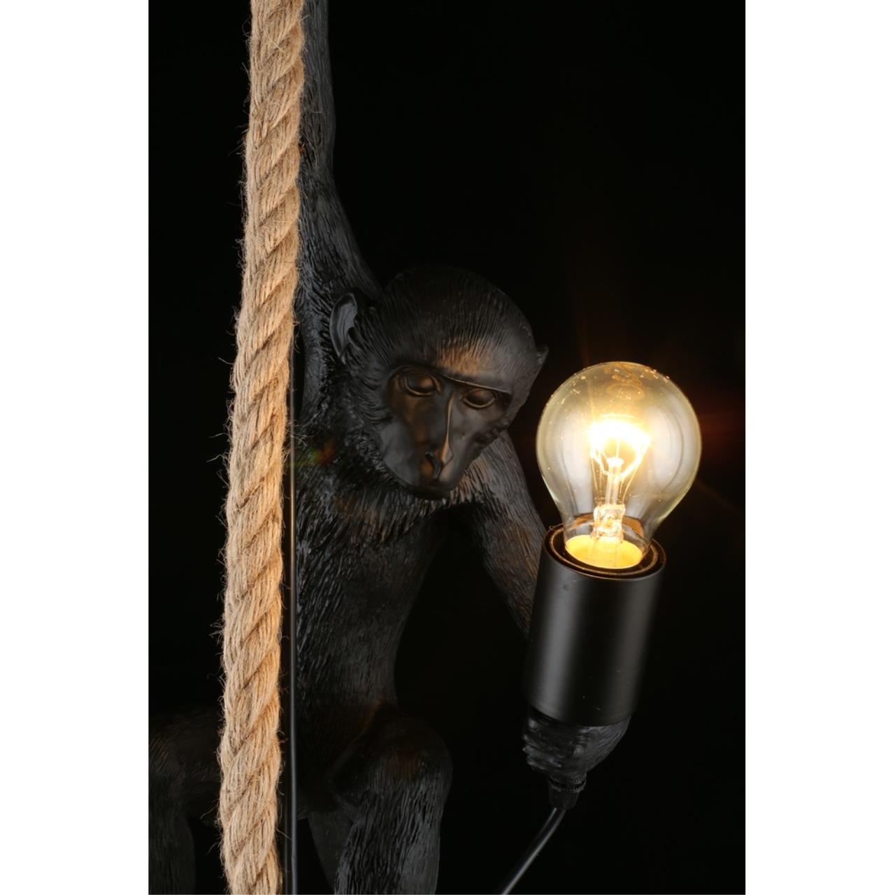 Картинка Подвесной светильник Aployt Magali APL.309.16.01