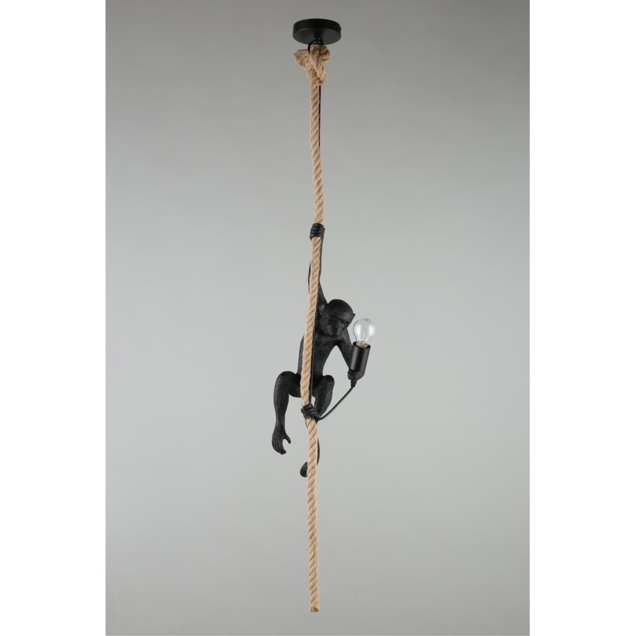 Картинка Подвесной светильник Aployt Magali APL.309.16.01