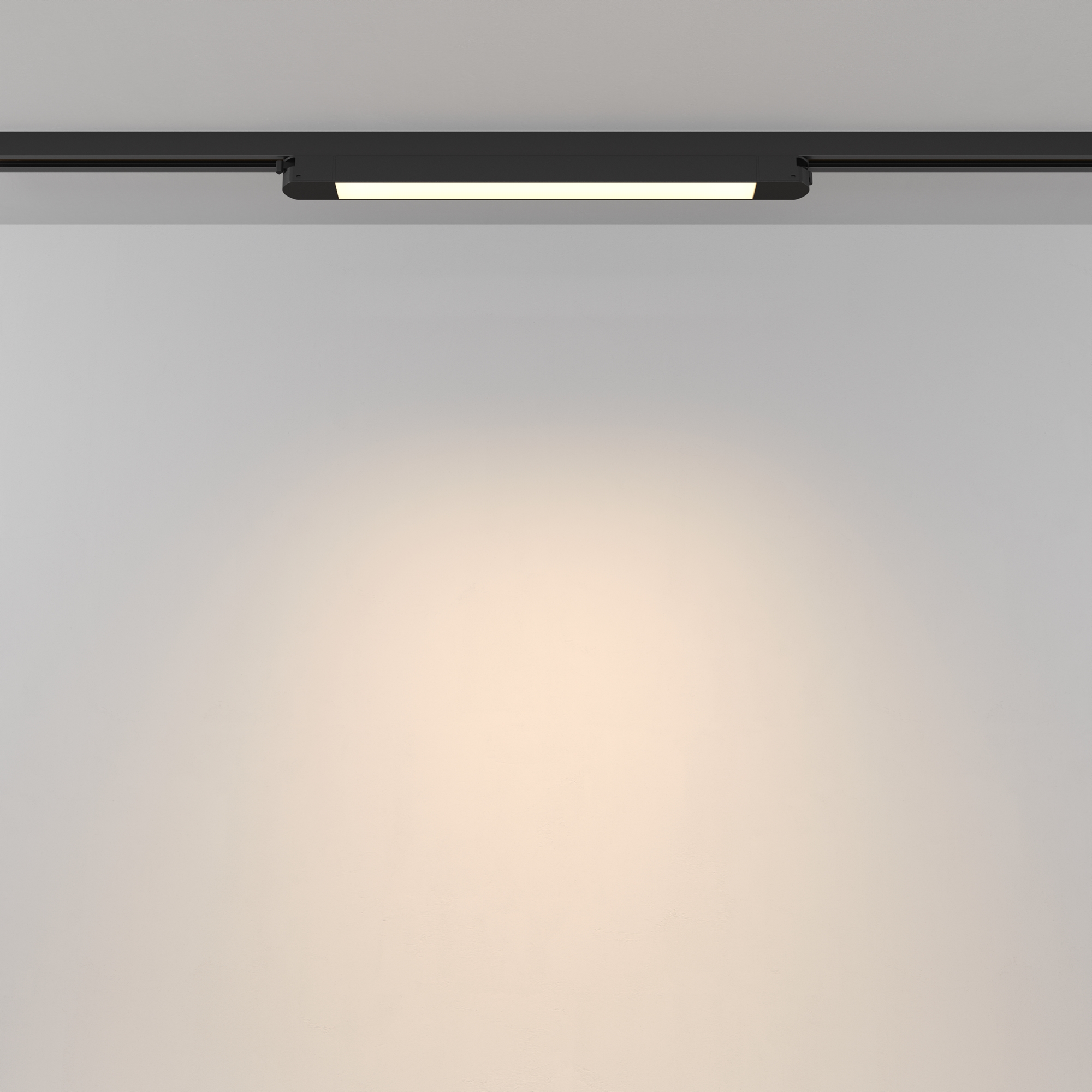 Картинка Трековый светильник Technical TR000-1-12W3K-B_1