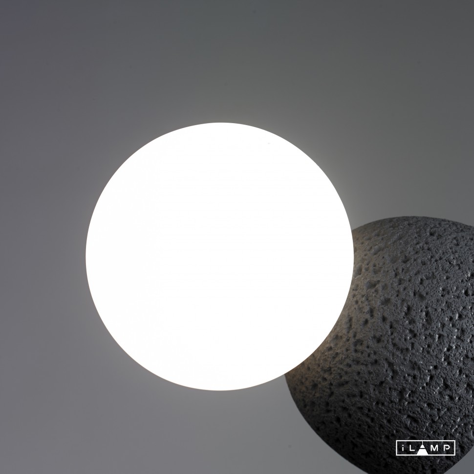 Картинка Настенный светильник iLamp FOXTROT 10695W/1-D100 BLACK&WHITE