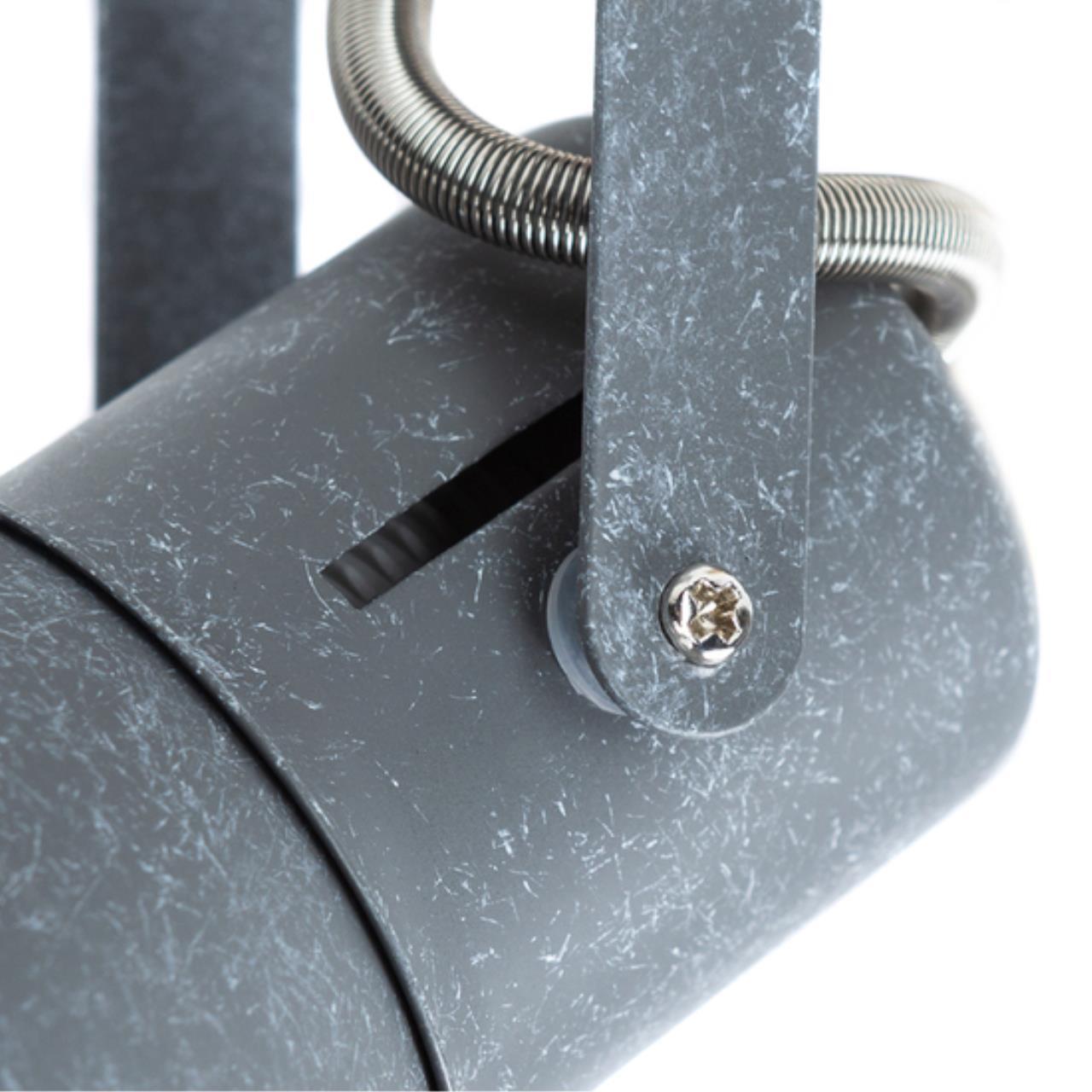 Картинка Спот Arte Lamp A1677PL-2GY