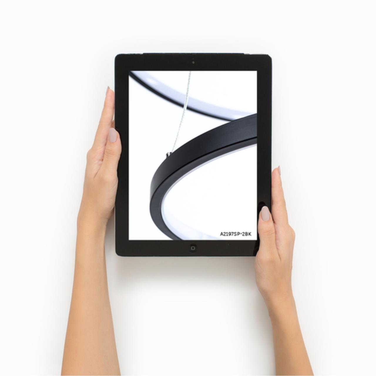 Картинка Подвесной светильник Arte Lamp FRODO A2197SP-2BK