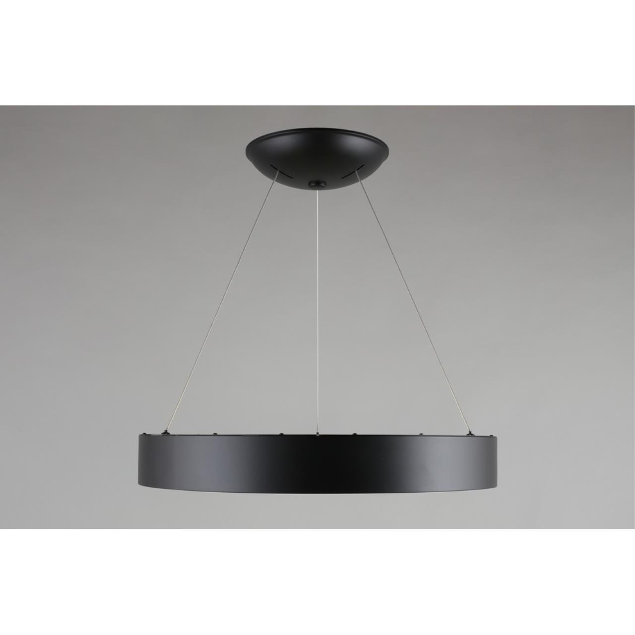 Картинка APL.052.13.60 Светильник подвесной светодиодный Aployt Michell