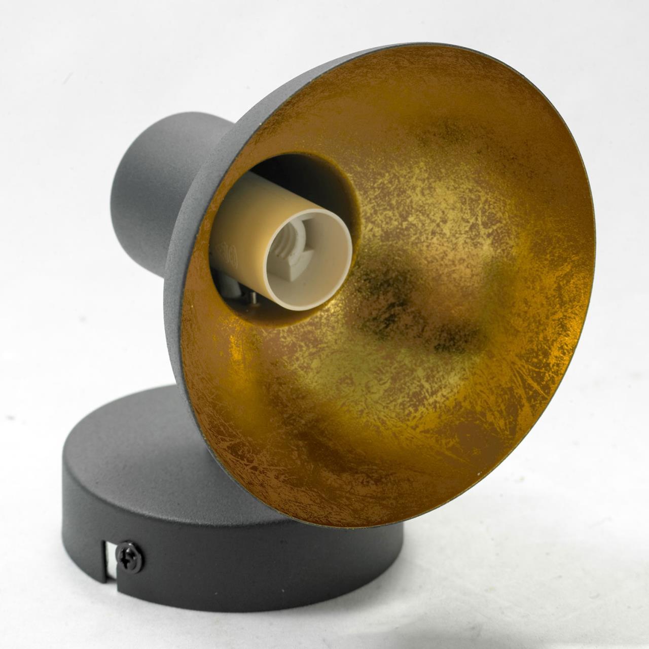 Картинка Спот Lussole Loft LSP-9973