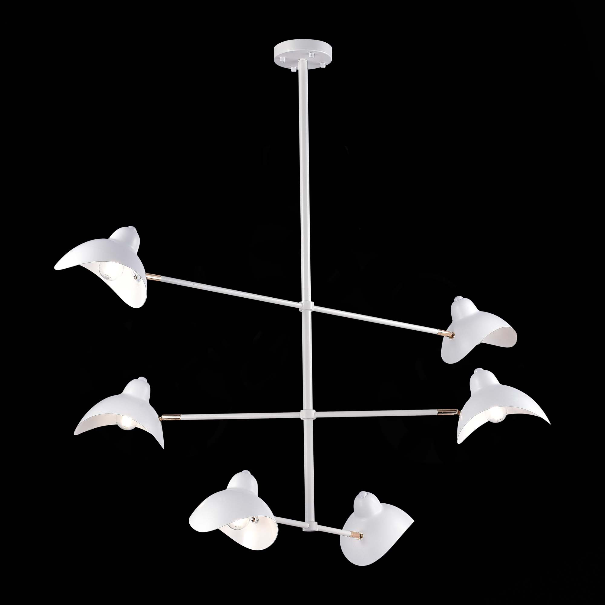 Картинка Подвесная люстра ST Luce Minne SL1801.503.06