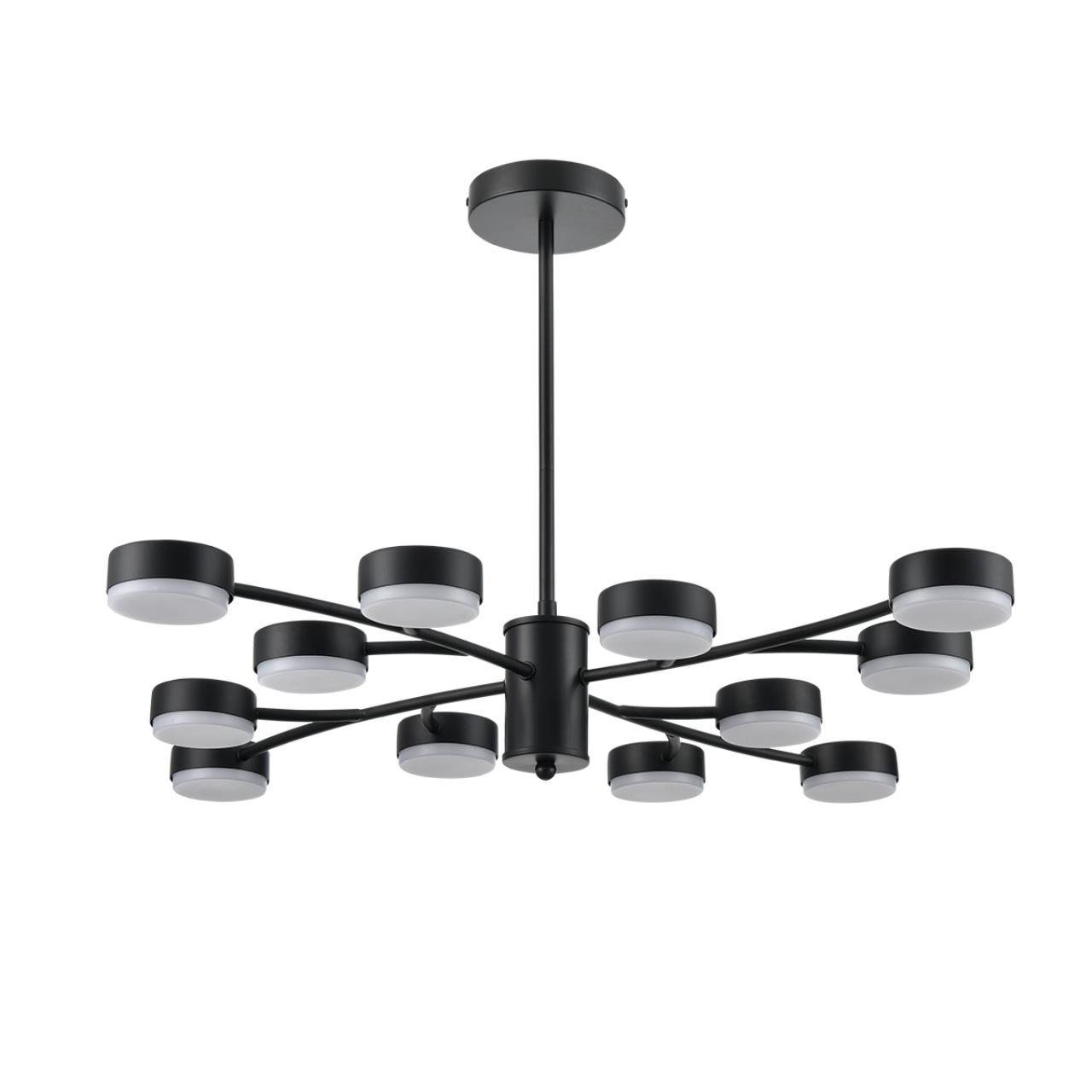 Картинка 8117/12 Lumion Люстра TORINA