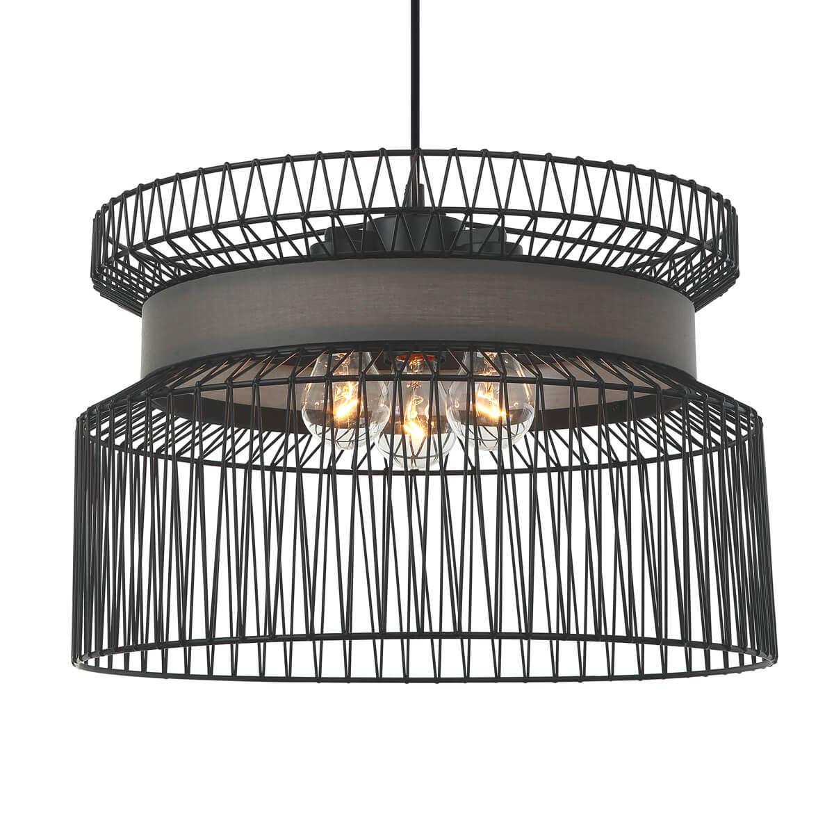 Картинка Подвесная люстра Favourite Korb 2363-2P