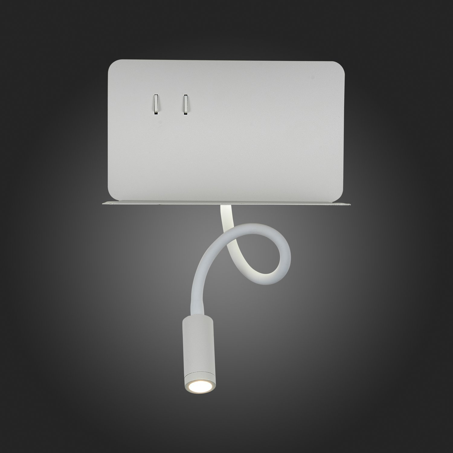 Картинка Настенный светодиодный светильник ST Luce Pinaggio SL1576.501.02