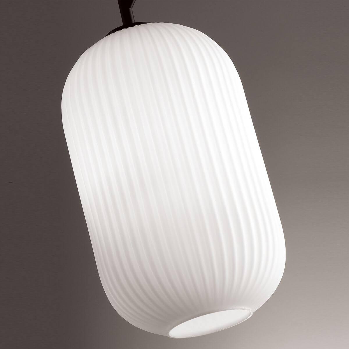Картинка Подвесной светильник Odeon Light Pendant Roofi 4751/1