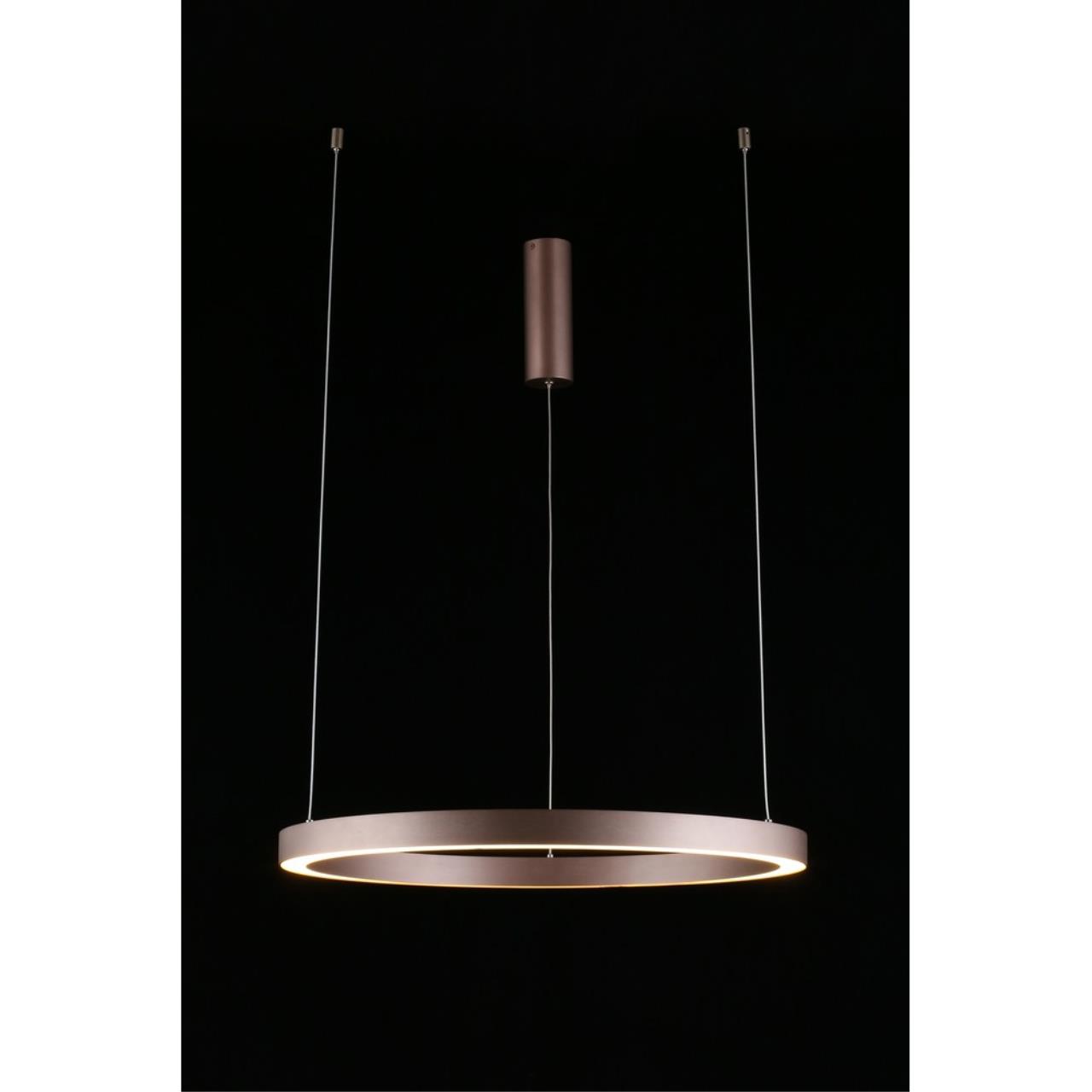 Картинка Подвесная люстра Aployt Nisia APL.025.03.48