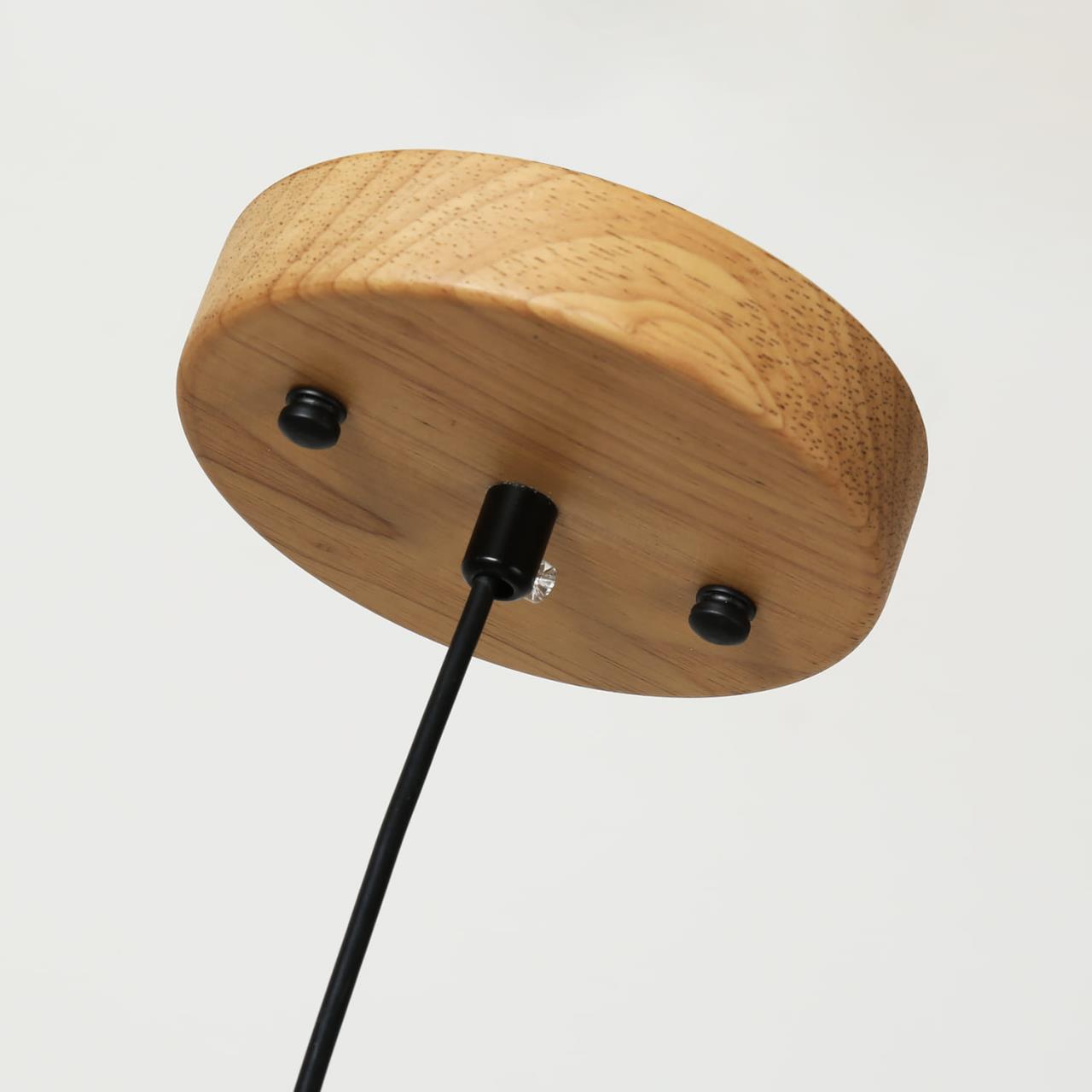 Картинка Подвесной светодиодный светильник Favourite Pendenti 2015-1P