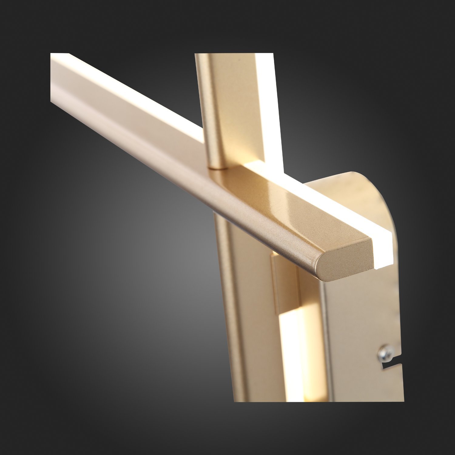 Картинка Настенный светодиодный светильник ST Luce Basoni SL394.201.02