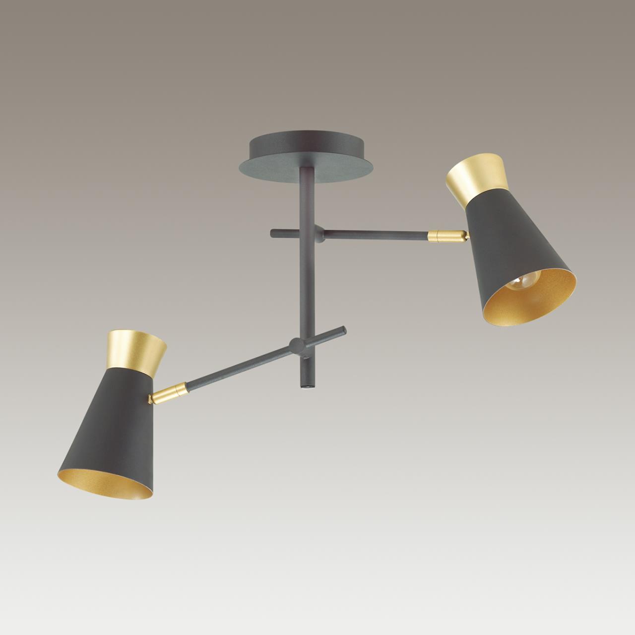 Картинка Подвесная люстра Lumion Liam 3790/2C