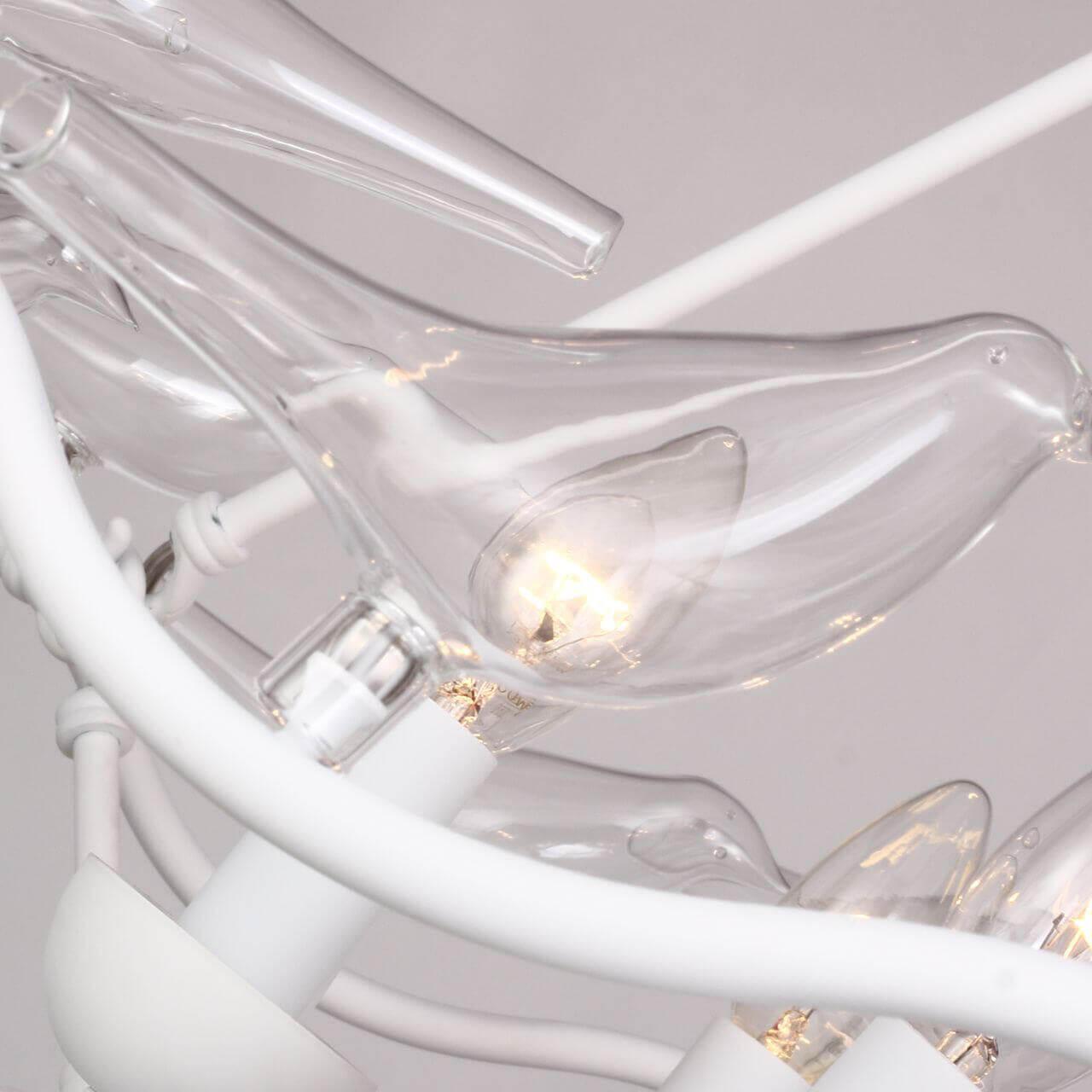 Картинка Подвесной светильник Favourite Pajaritos 1751-9P