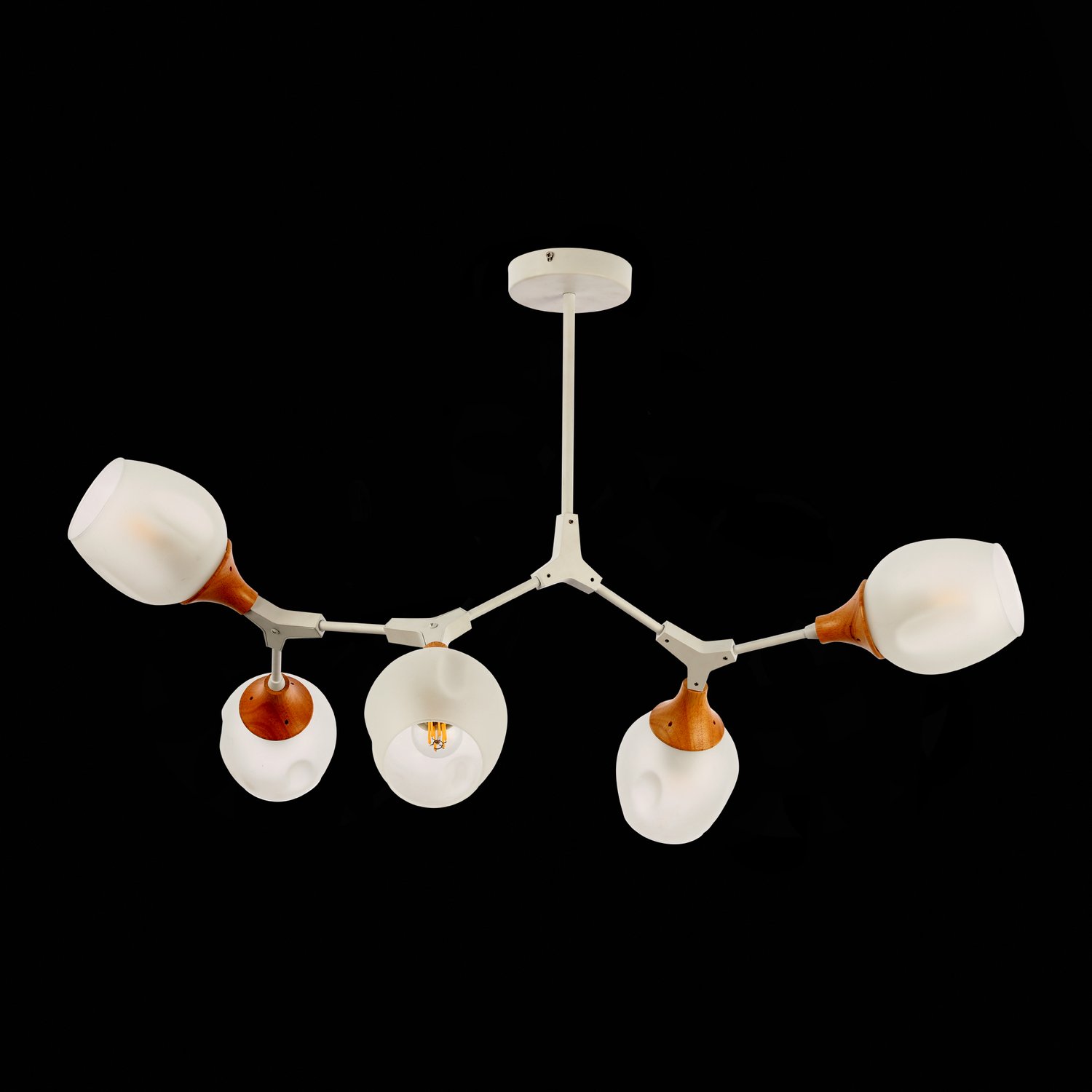 Картинка Потолочная люстра Evoluce Ciotolla SLE113502-05