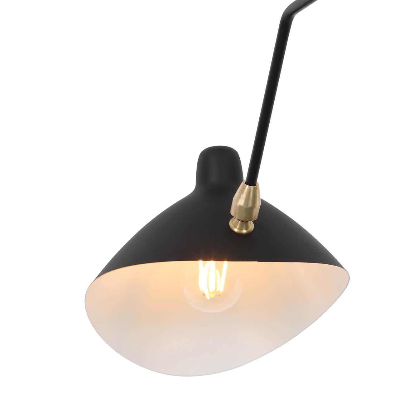 Картинка Потолочная люстра ST Luce Spruzzo SL305.402.03