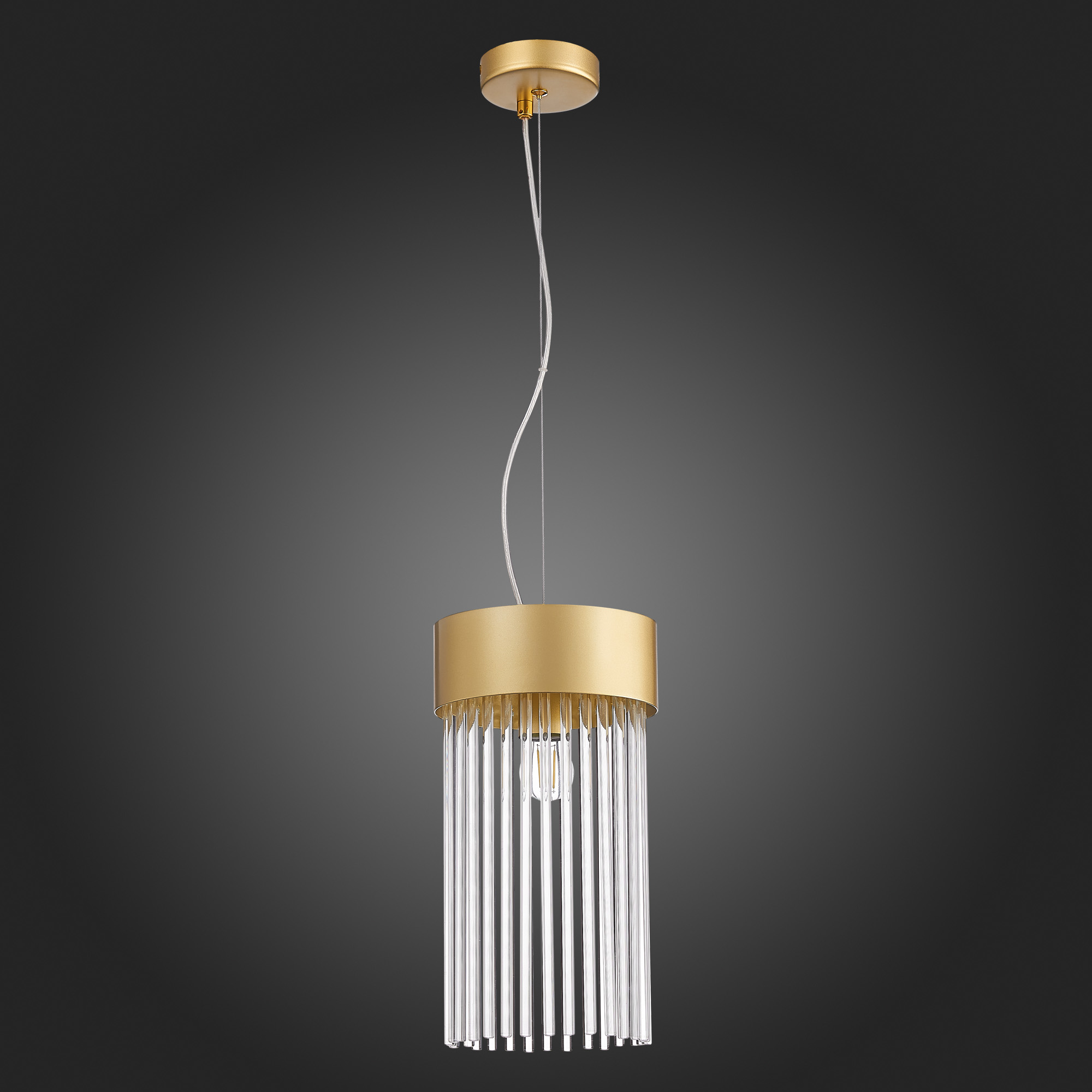 Картинка Подвесной светильник ST Luce Contatto SL1225.203.01