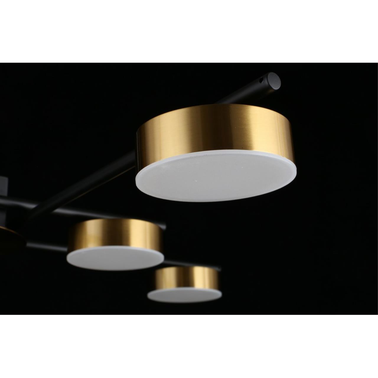 Картинка Потолочная светодиодная люстра Aployt Delayn APL.042.07.56