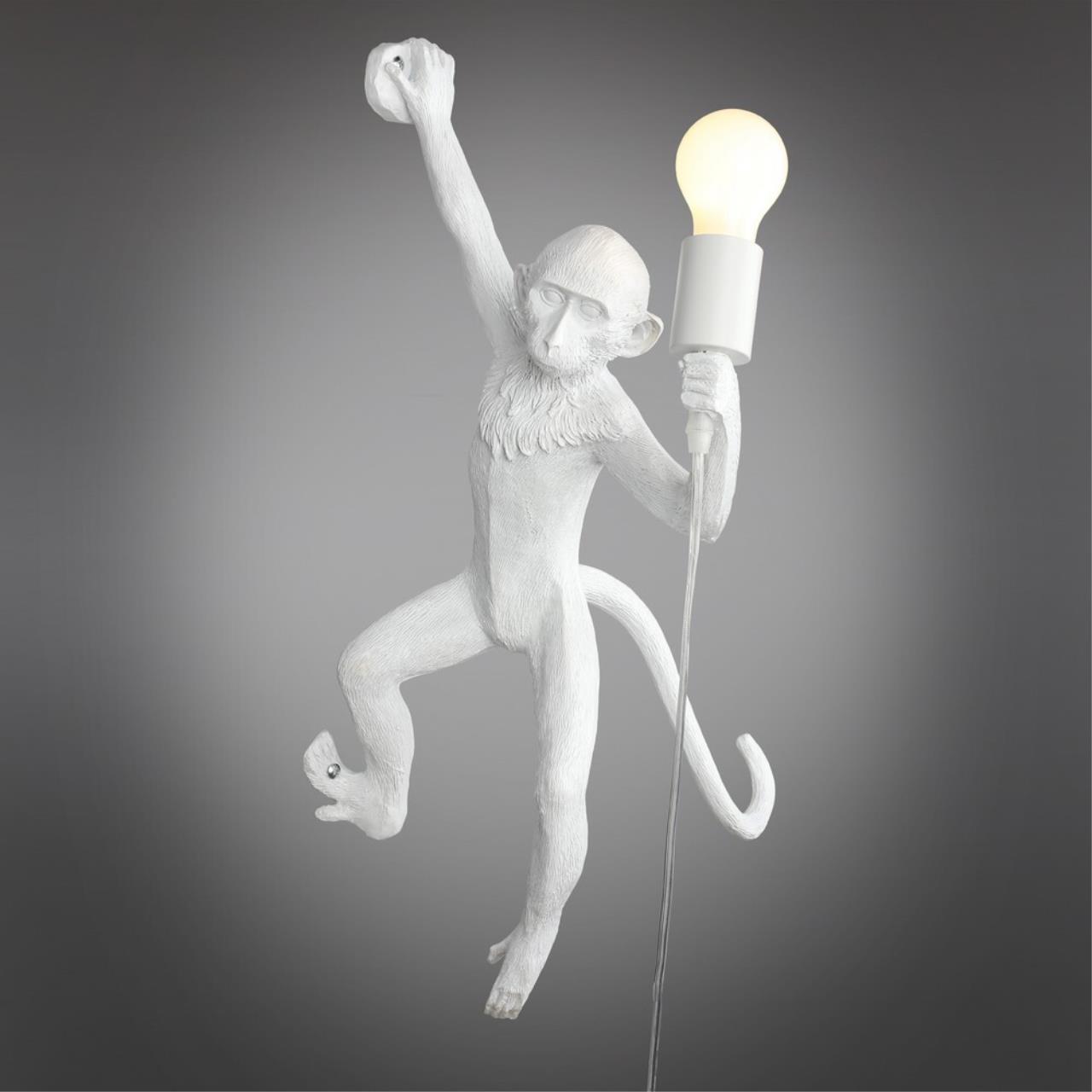 Картинка APL.309.11.01 Бра настенное Aployt Magali