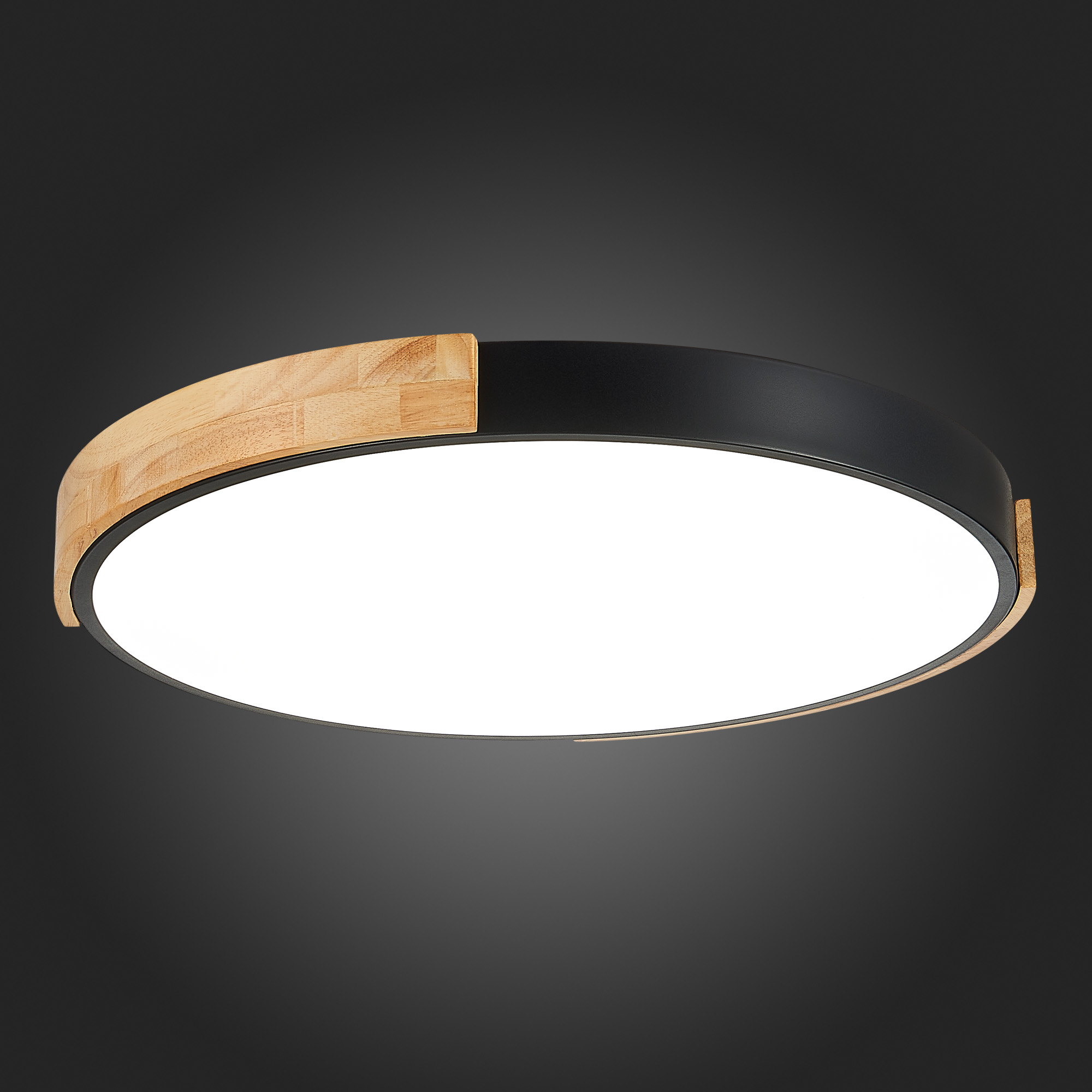 Картинка Потолочный сетодиодный светильник Evoluce Delia SLE201342-01