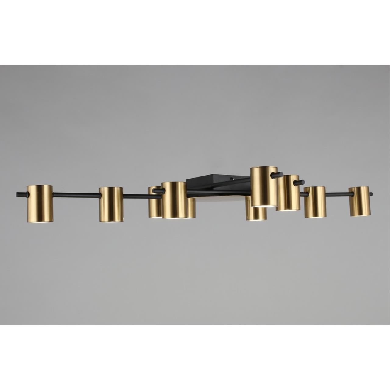 Картинка Потолочная люстра Aployt Elwisia APL.633.07.10