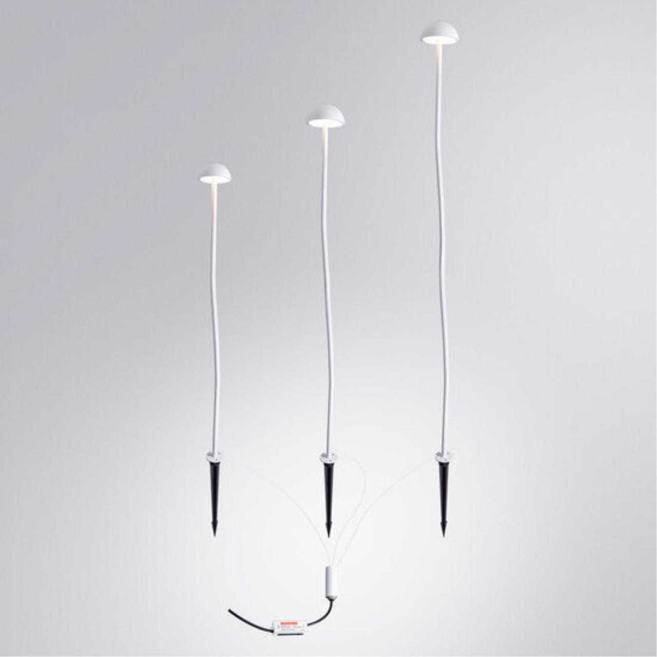 Картинка Грунтовый светильник Arte Lamp MOTUS A1081PA-3WH