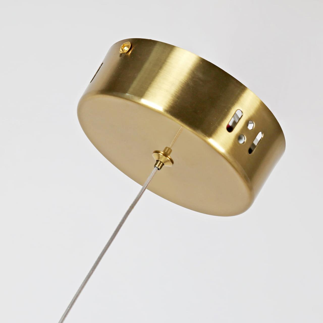 Картинка Подвесной светодиодный светильник Favourite Conceptus 2641-1P