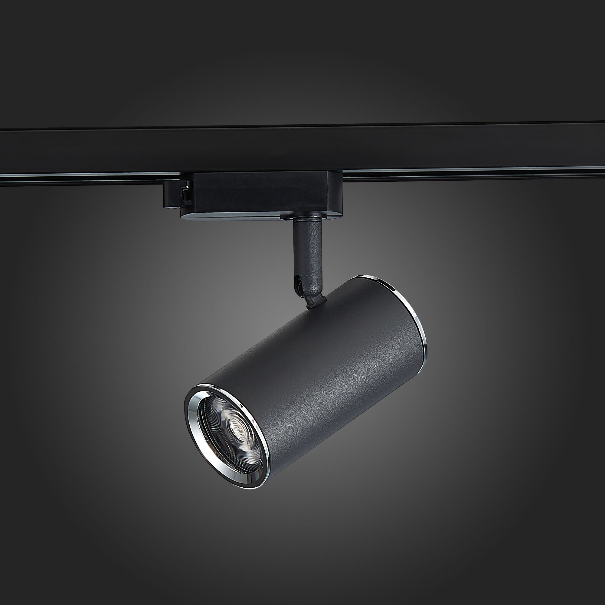 Картинка Трековый светильник ST Luce ST301.406.01