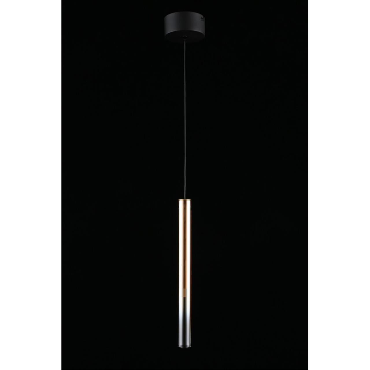 Картинка APL.059.06.04 Светильник подвесной Aployt Silveyn