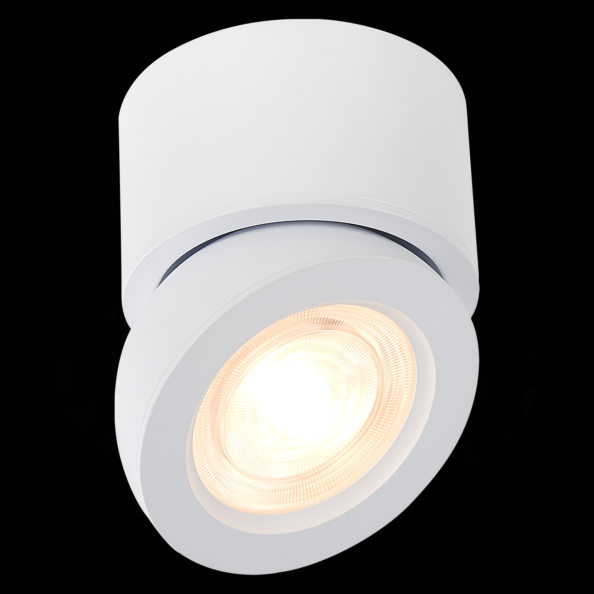 Картинка Светодиодный спот ST Luce ST654.532.10