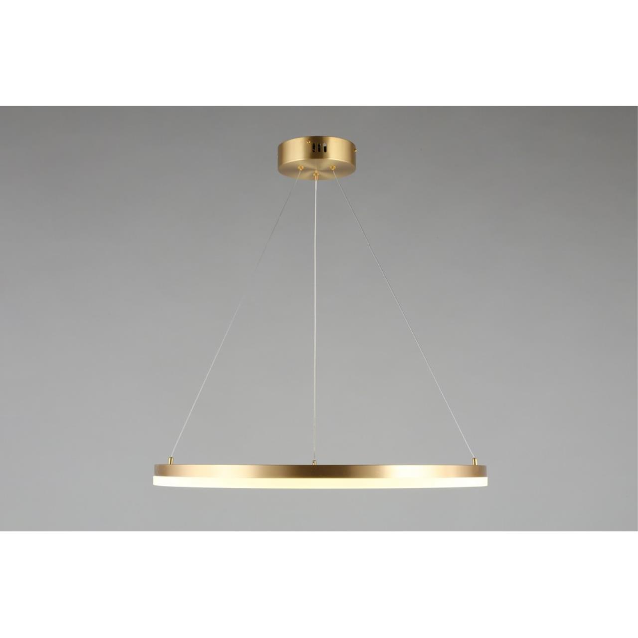 Картинка Подвесной светодиодный светильник Aployt Armel APL.049.13.40