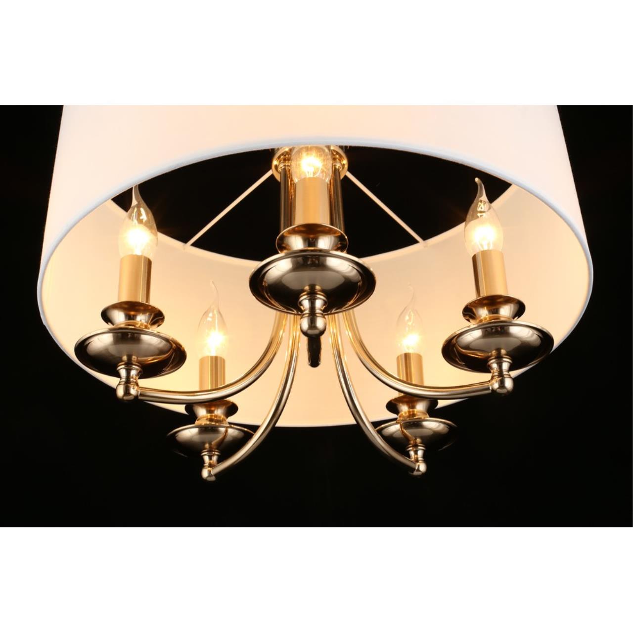 Картинка Подвесная люстра Aployt Berze APL.721.06.05