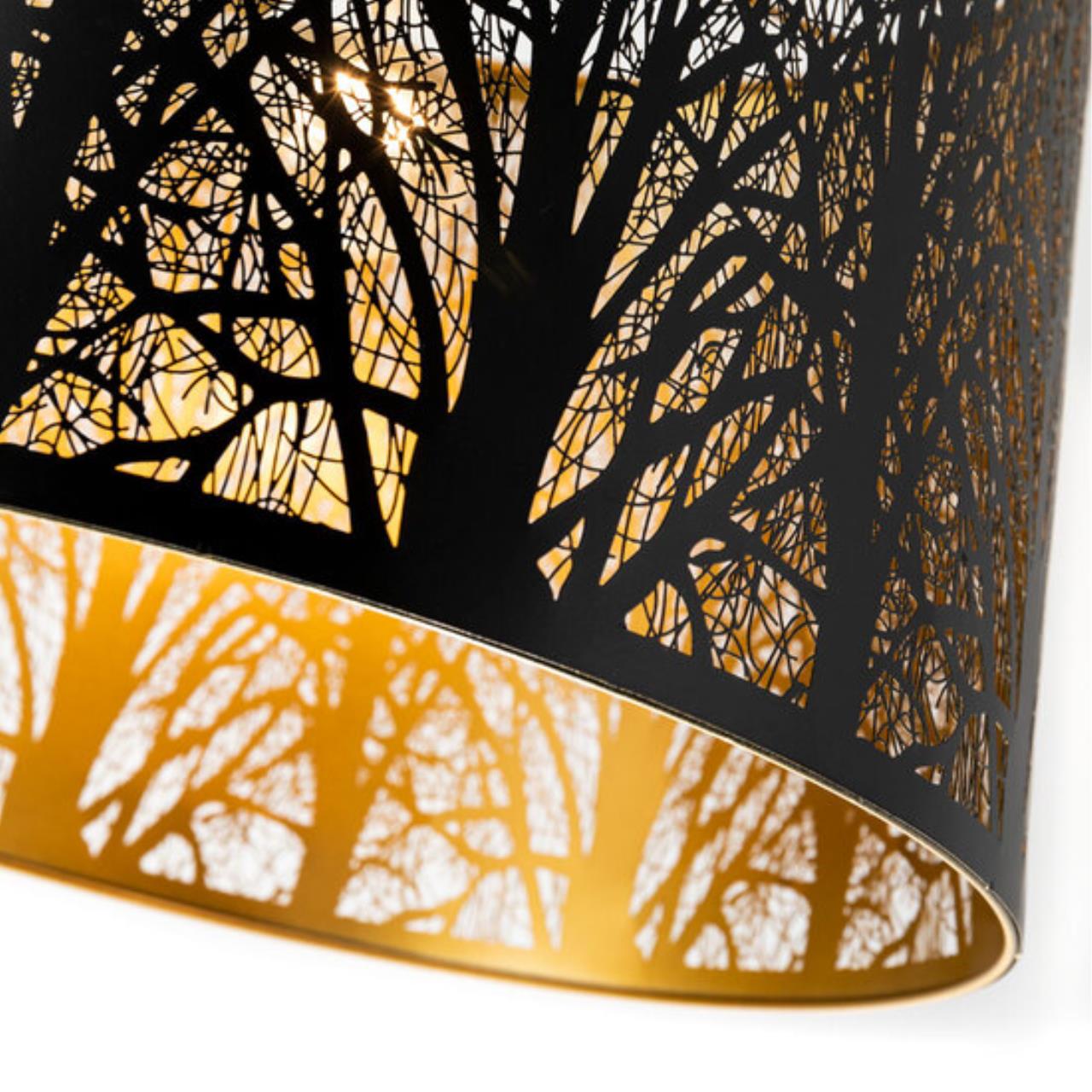 Картинка Подвесной светильник Arte Lamp Celesta A2769SP-1BK