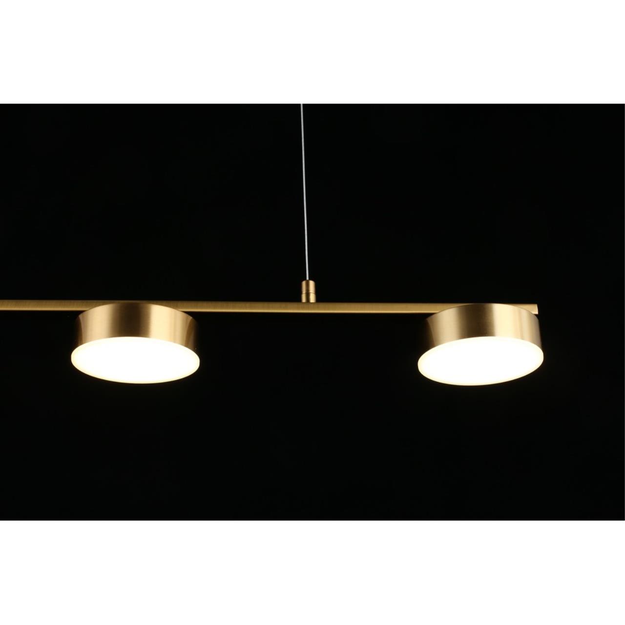 Картинка Подвесная светодиодная люстра Aployt Usia APL.047.13.35