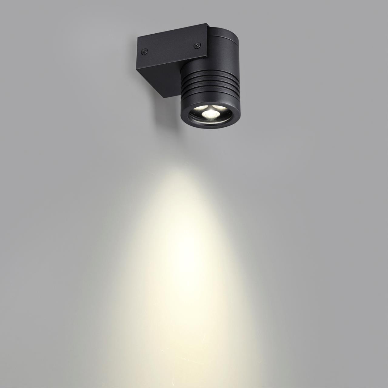 Картинка 6648/6WL NATURE Odeon Light  Фасадный светильник STIMA