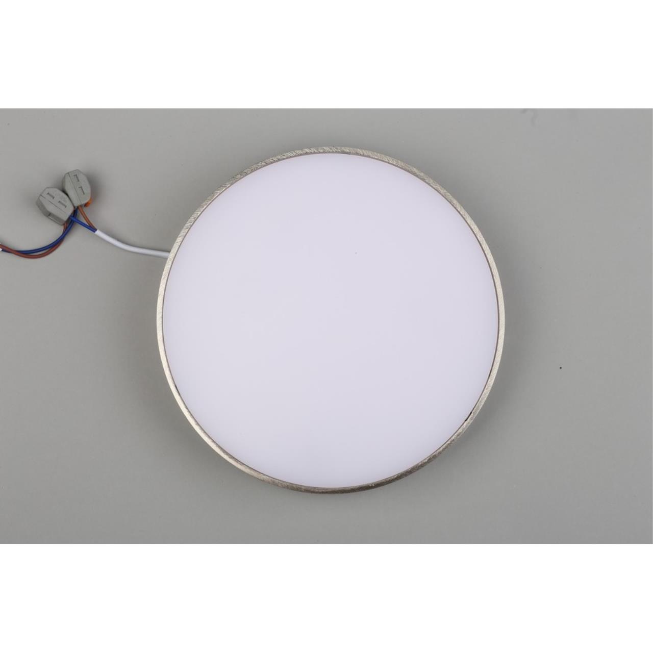 Картинка Потолочный светодиодный светильник Aployt Evon APL.0114.19.24